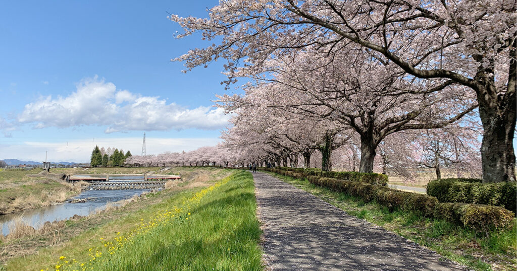 姿川サイクリングロード