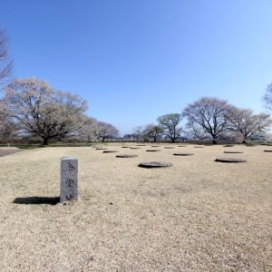 下野国分尼寺跡
