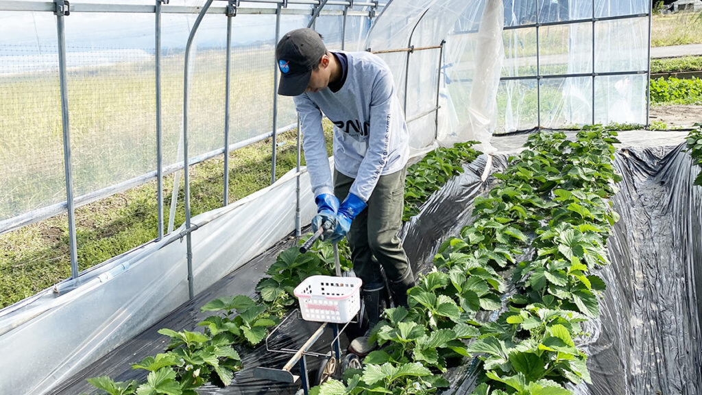 高橋大貴さん　～住んでみてわかる、下野の人のよさ～