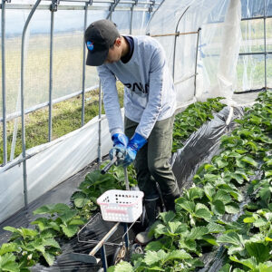 高橋大貴さん　～住んでみてわかる、下野の人のよさ～